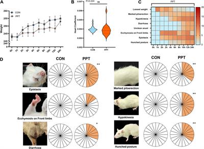 Potential mechanisms underlying podophyllotoxin-induced cardiotoxicity in male rats: toxicological evidence chain (TEC) concept